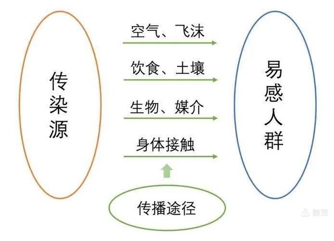 传染病三环节（传染病三个基本环节是）