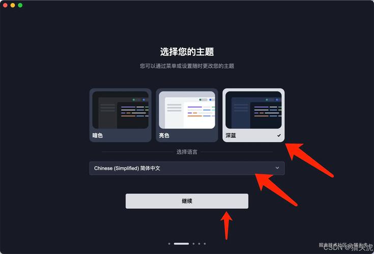 偏好使用的编程语言（偏好方法）