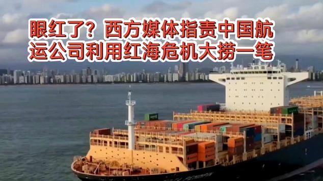 红海航运危机（红海航线的船公司）